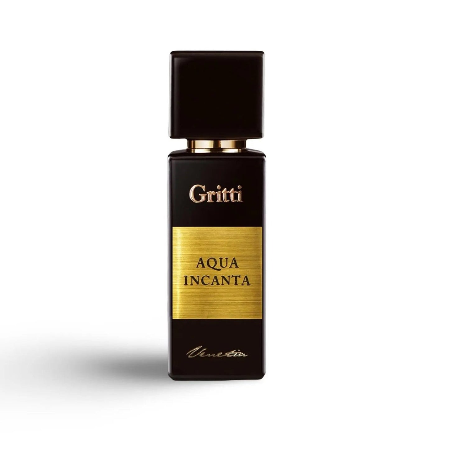 Wholesale Gritti Aqua Incanta Eau de Parfum Uomo 100ml | Carsha