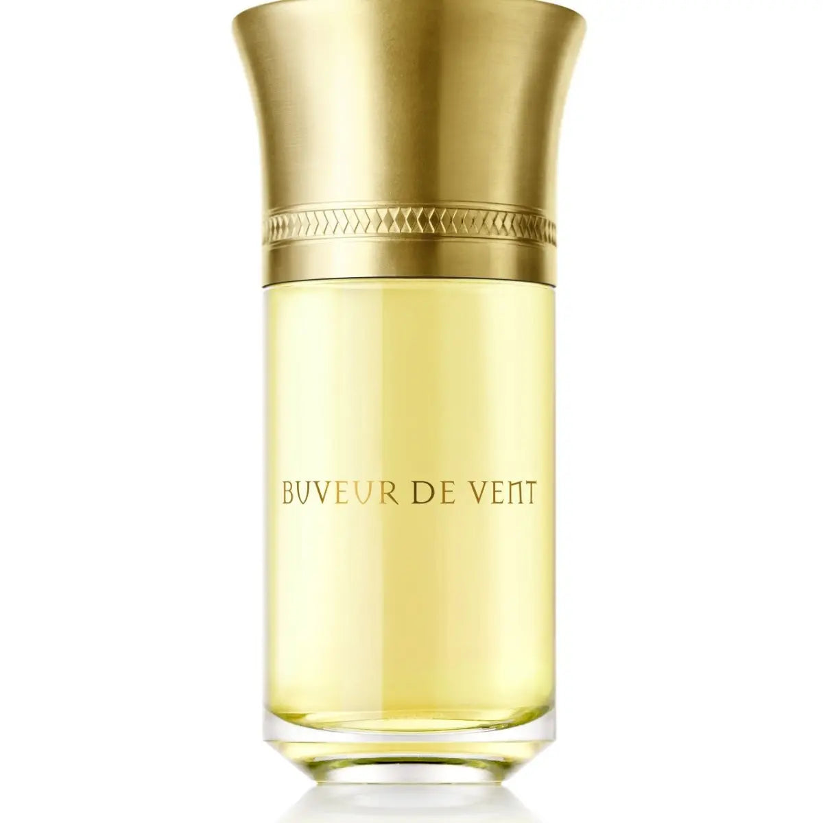 Wholesale Liquides imaginaires Buveur de Vent Edp - 100 ml | Carsha