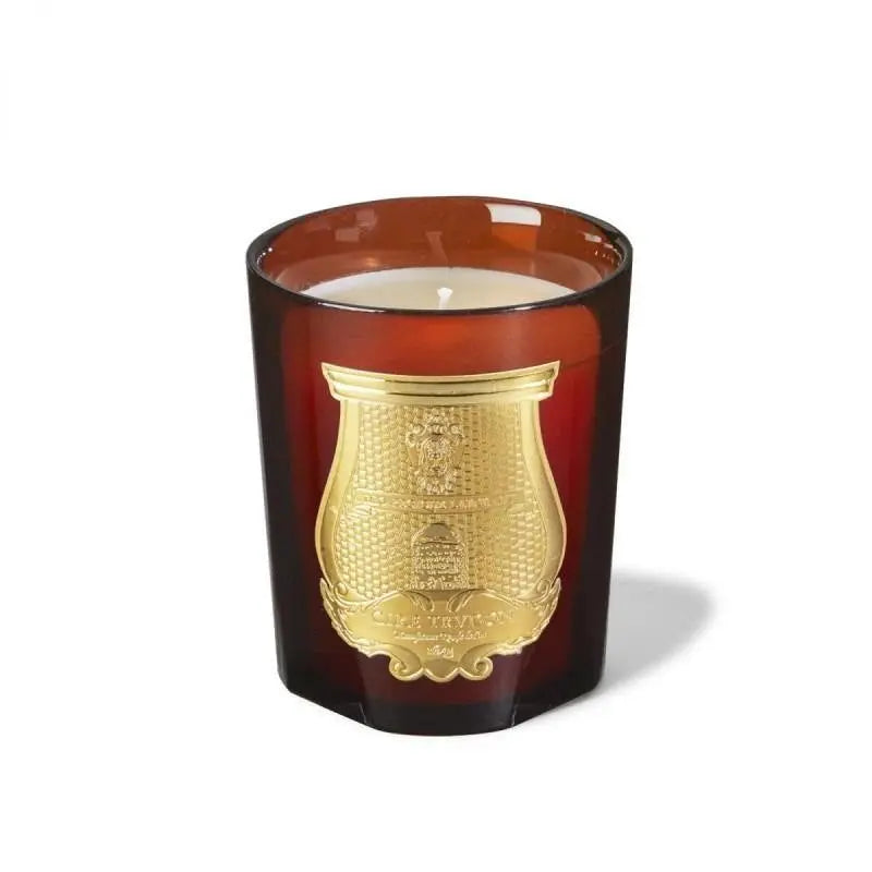Trudon Cire Candela 270gr