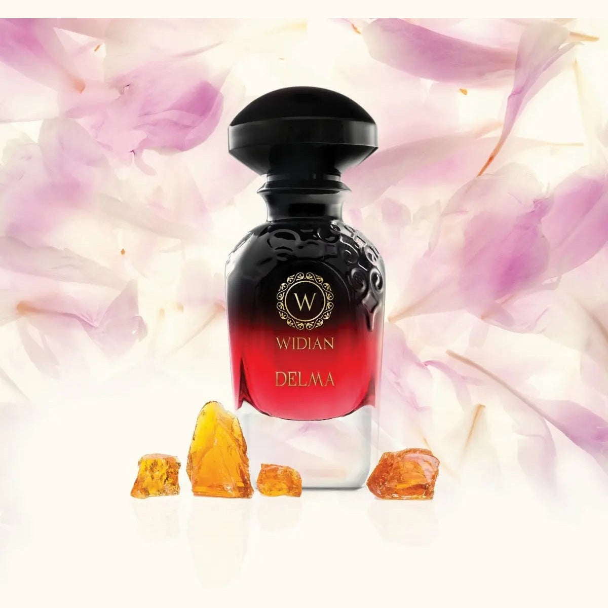 Wholesale Widian Delma eau de parfum - 50 ml | Carsha