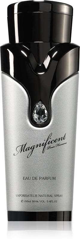 Armaf Magnificent Homme - EDP - Volume: 100 ml