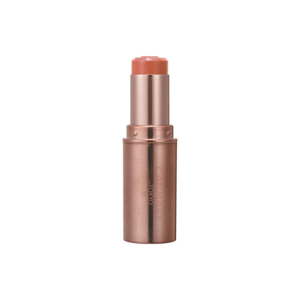 Wholesale CANMAKE - Melty Luminous Rouge Tint Type - 3.8g - T02 Rose Milktea | Carsha