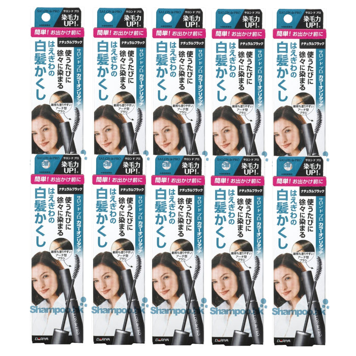 Wholesale Dariya Salon De Pro - Color On Retouch Gray Hair Comb EX - 15ml - Natural Black 10ea Set | Carsha