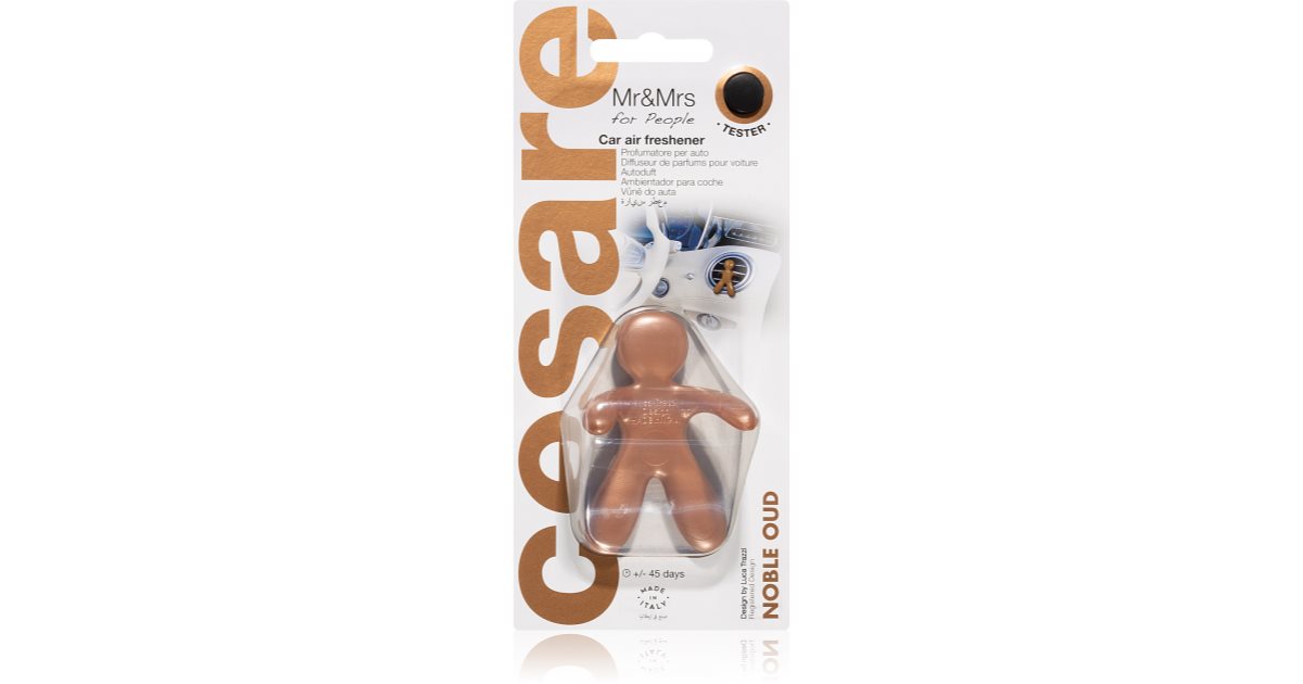 Mr&mrs fragrance Cesare Noble Oud (bronzo) - odore di automobile