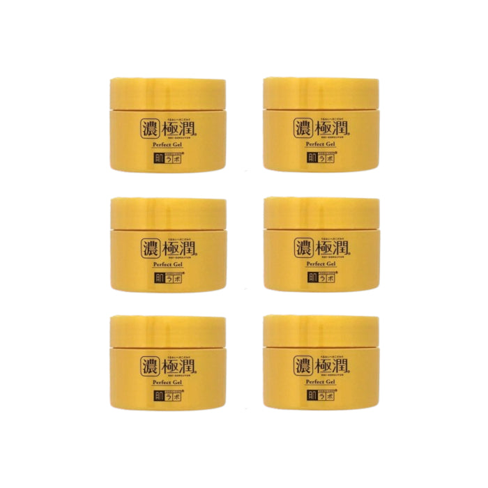 Wholesale Rohto Mentholatum - Hada Labo - Koi-Gokujyun Perfect Gel Japan Version - 100g 6ea Set | Carsha