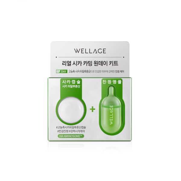 Wholesale Wellage - Real Cica Calming One Day Kit - 1pc | Carsha