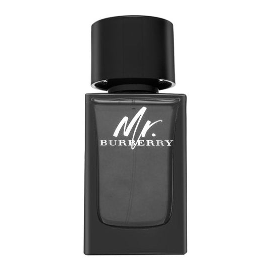 Burberry Mr. Burberry Eau de parfum uomo 100 ml