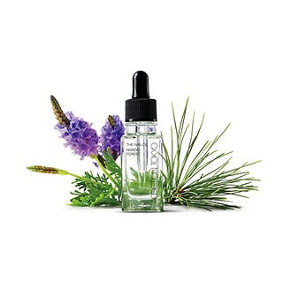 Addiction The Nail Oil Nordic Forest