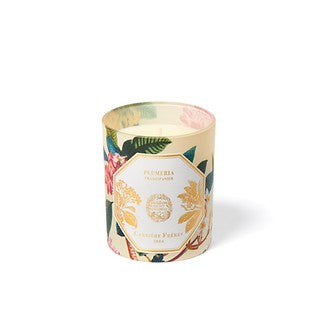 Wholesale Carriere Freres Museum Candle Frangipani 185g | Carsha