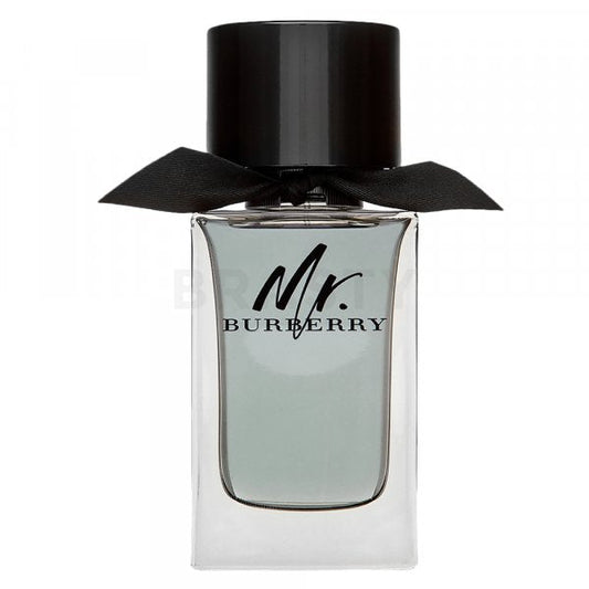Burberry Mr. Burberry Eau De Toilette Uomo 100 ml