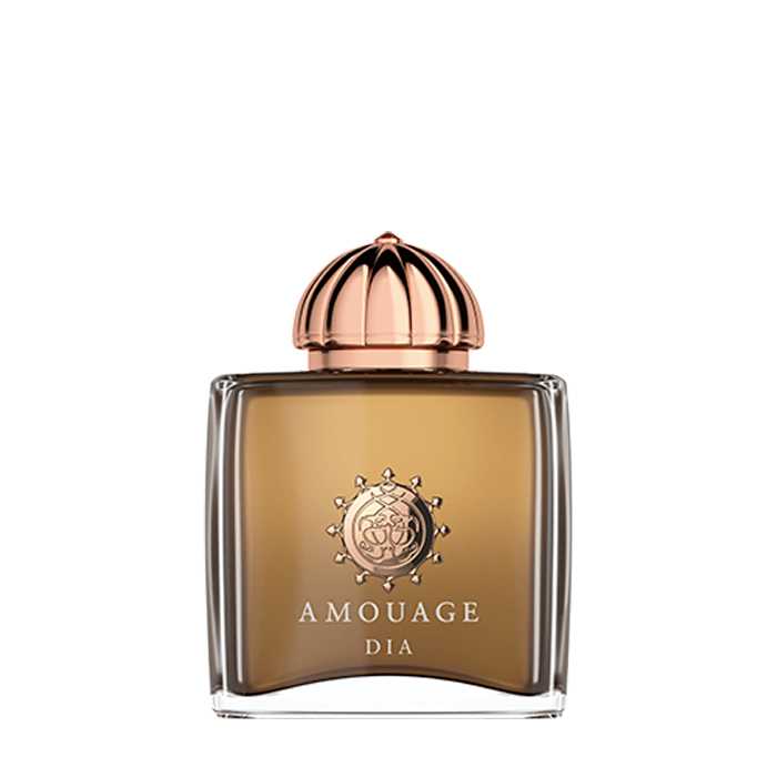 Wholesale Amouage Dia Donna Eau de Parfum 100 ml | Carsha
