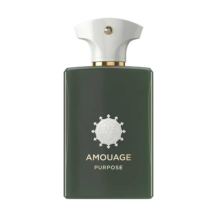 Wholesale Amouage Purpose Eau de Parfum Unisex 100 ml | Carsha