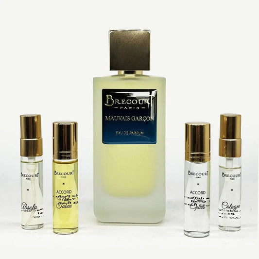 Wholesale Brecourt Mauvais Garcon Eau de parfum unisex 100 ml | Carsha