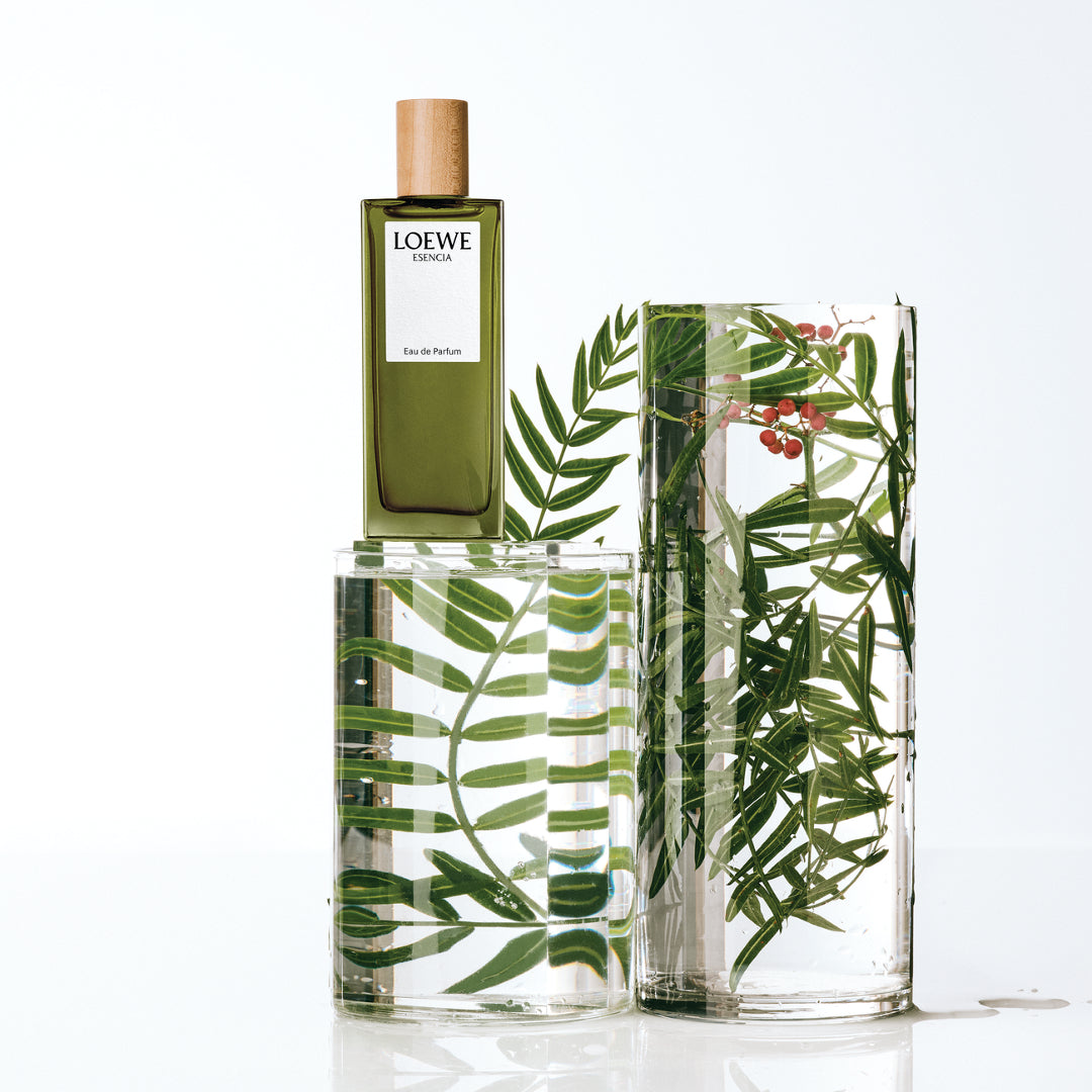 Loewe Esencia Eau de Parfum 50 ml. | Discontinued Perfumes at Carsha 