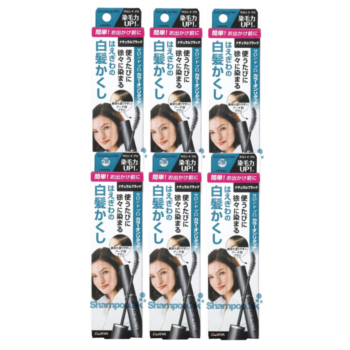 Wholesale Dariya Salon De Pro - Color On Retouch Gray Hair Comb EX - 15ml - Natural Black 6ea Set | Carsha