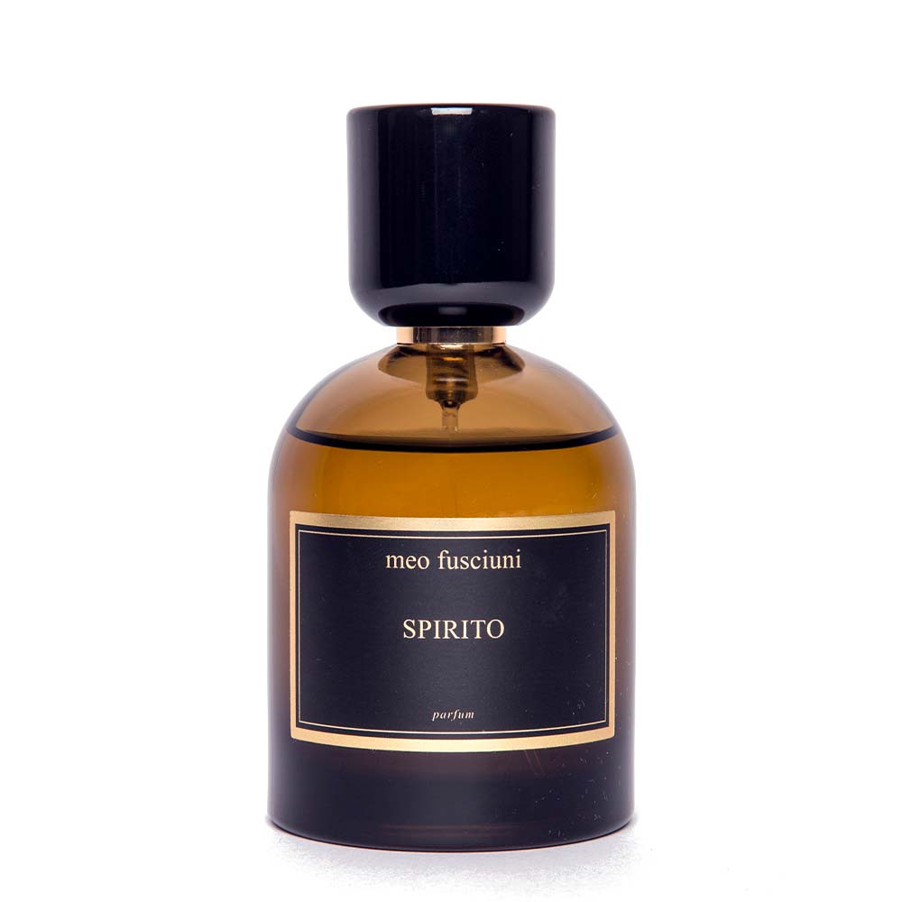 Wholesale Meo fusciuni Spirito Extrait de Parfum - 100 ml | Carsha