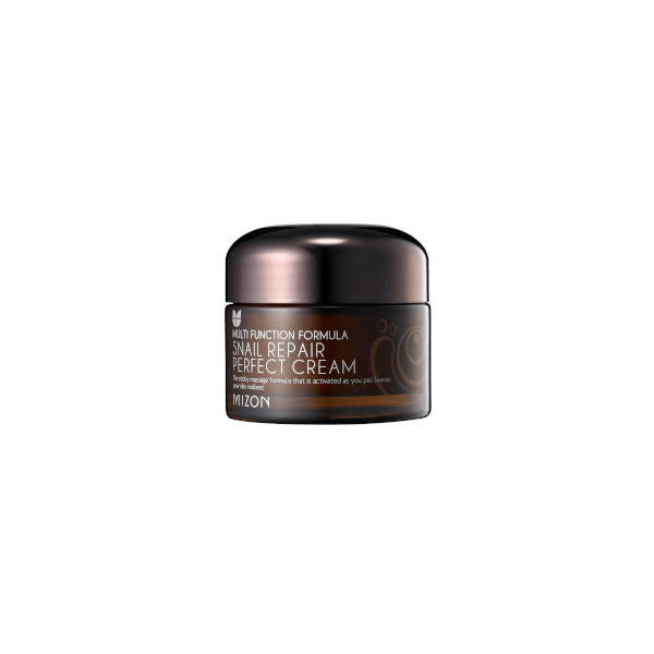 Wholesale MIZON - Snail Repair Perfect Cream - 50ml | Carsha