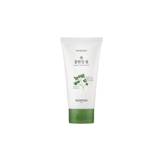 Wholesale SKINFOOD - Vege Garden Cleansing Foam Mugwort - 150ml | Carsha