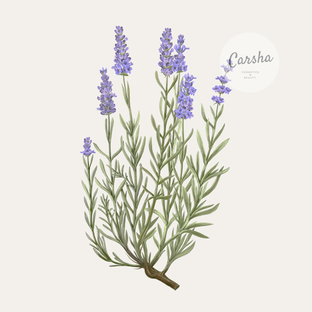 Carriere Freres Lavender Botanical Palet | Carsha