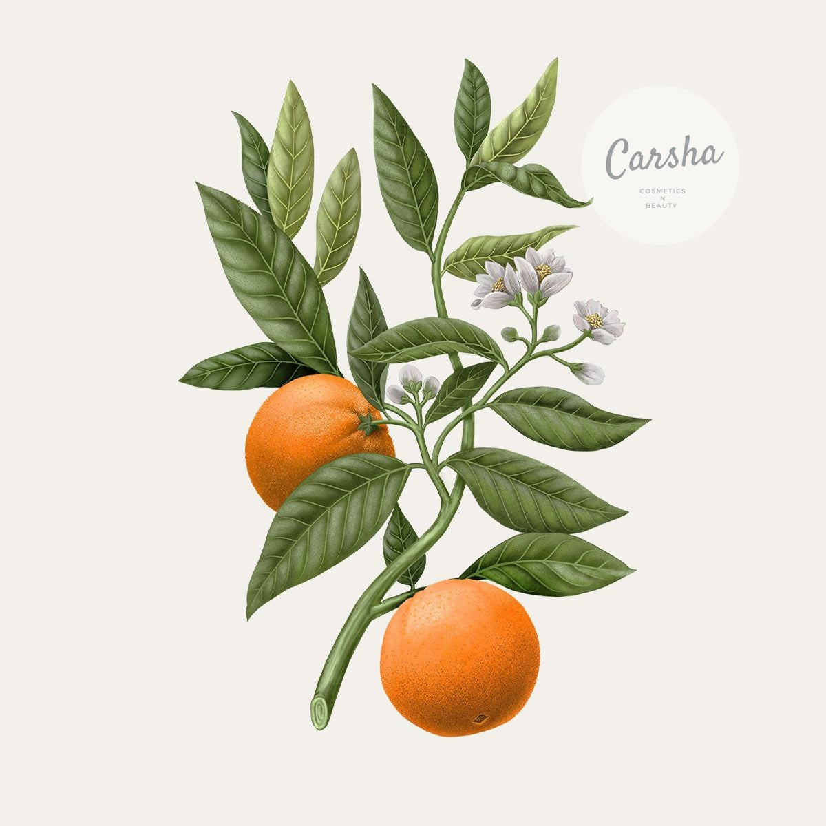 Carriere Freres Orange Blossom Botanical Palet | Carsha