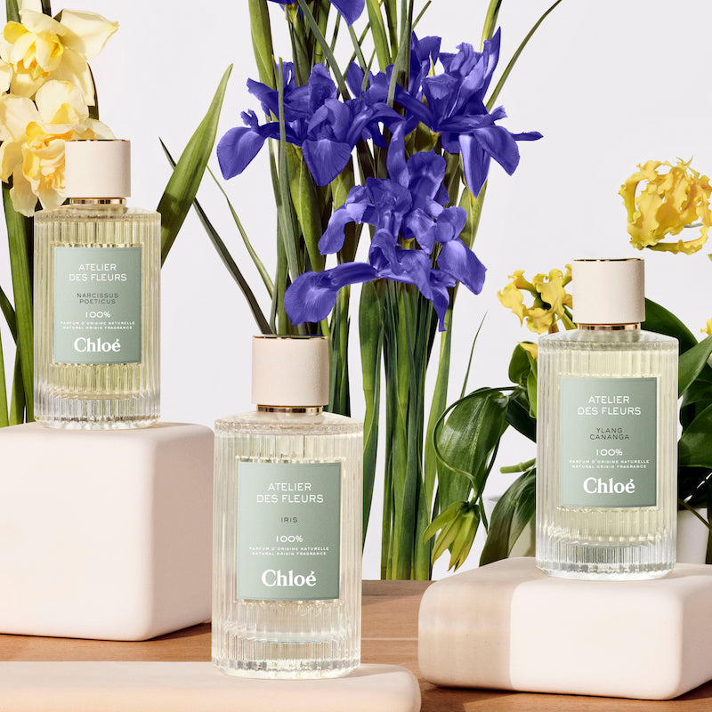 Wholesale Chloe Atelier des Fleurs Iris Eau De Parfum 50ml | Carsha