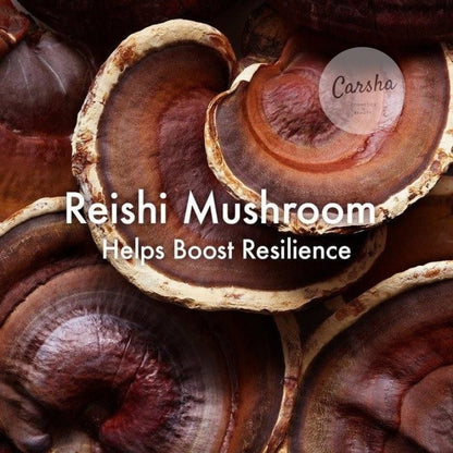 Origins Mega Mushroom Skin Relief Micellar Cleanser 200ml | Carsha
